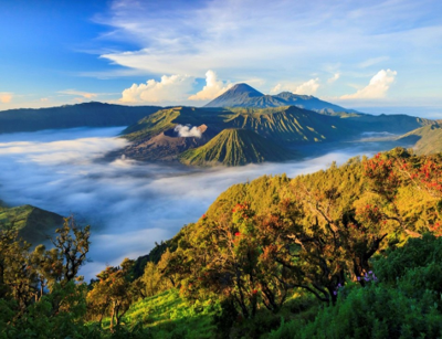4D3N Halfboard Bromo
