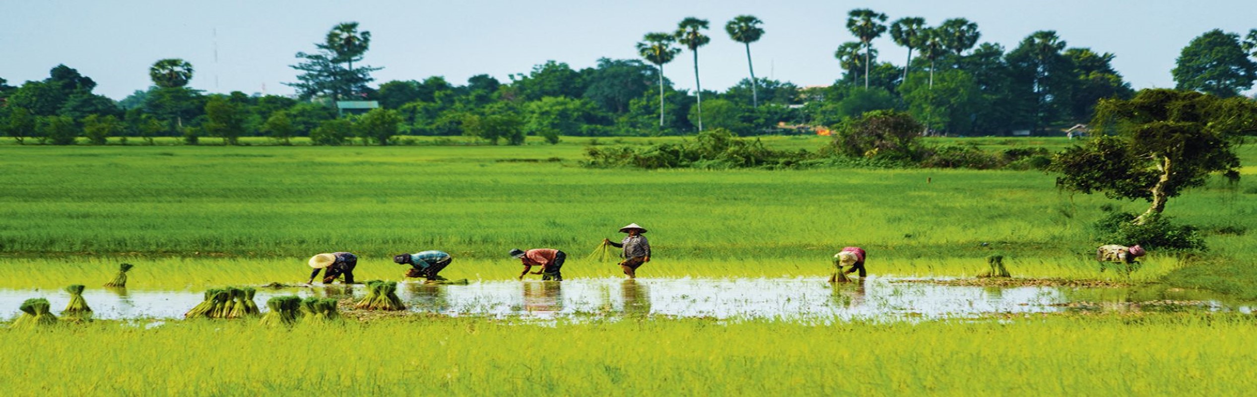 5D4N Siem Reap Delight