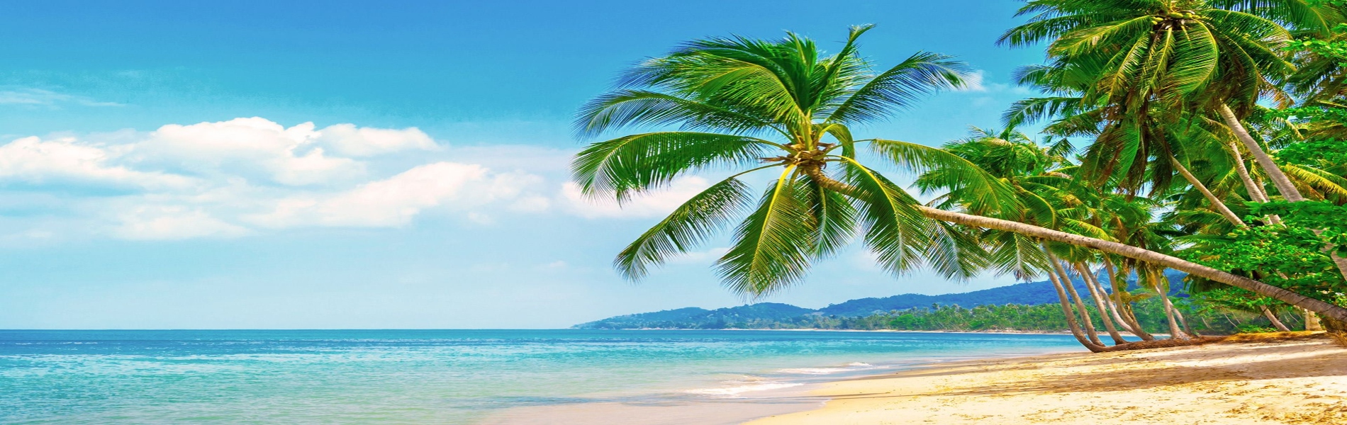 3D2N Koh Samui with van VIP (10/12 Seater)