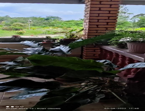 Pisaan FarmStay
